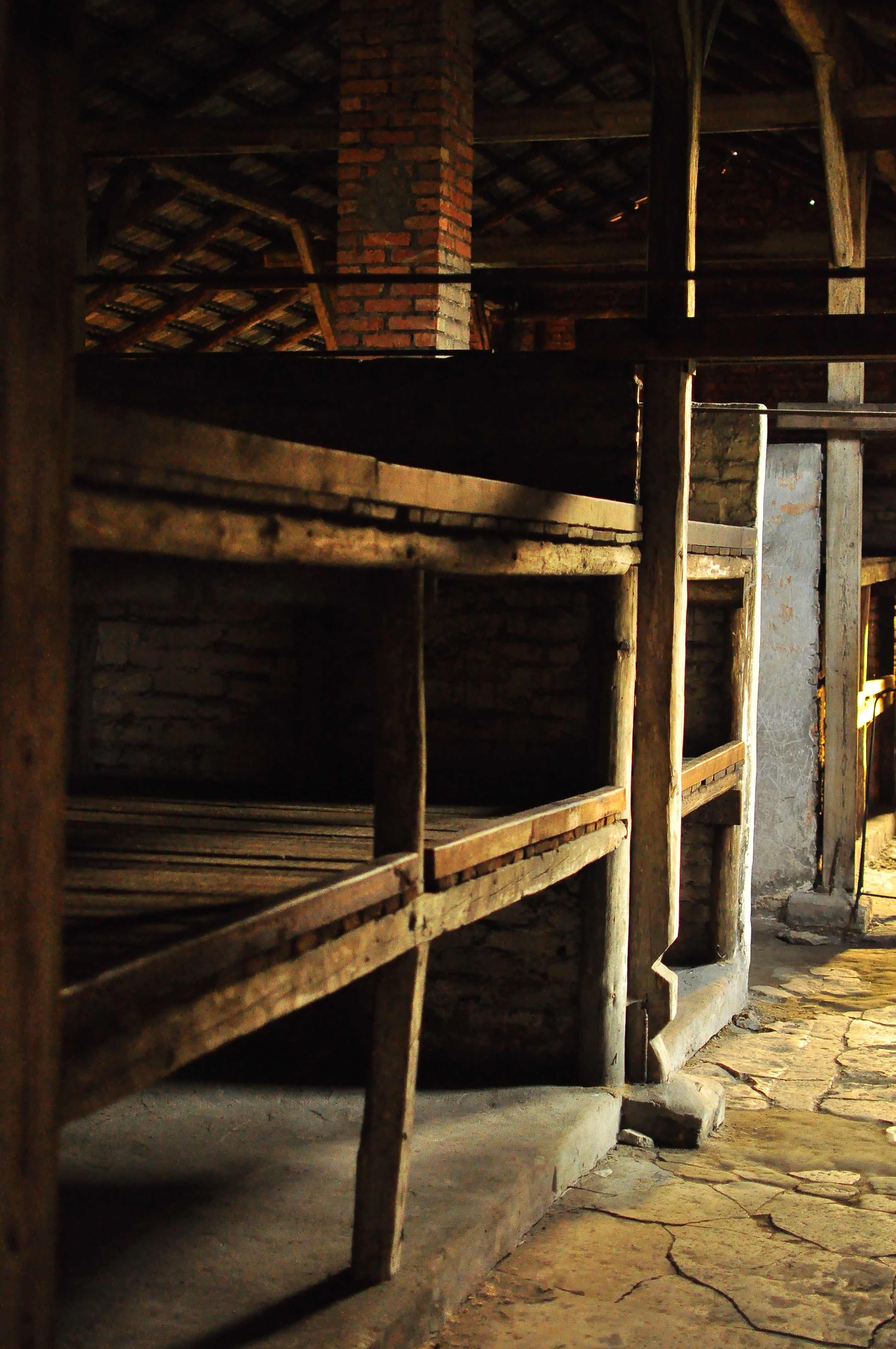 Portrait Image 9 of 30 from Poland 2012. Alberto Roura